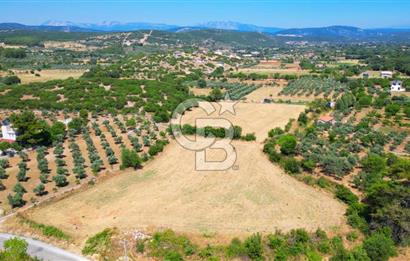 Muğla YERKESIKTE 5517 m2 SATILIK TARLA
