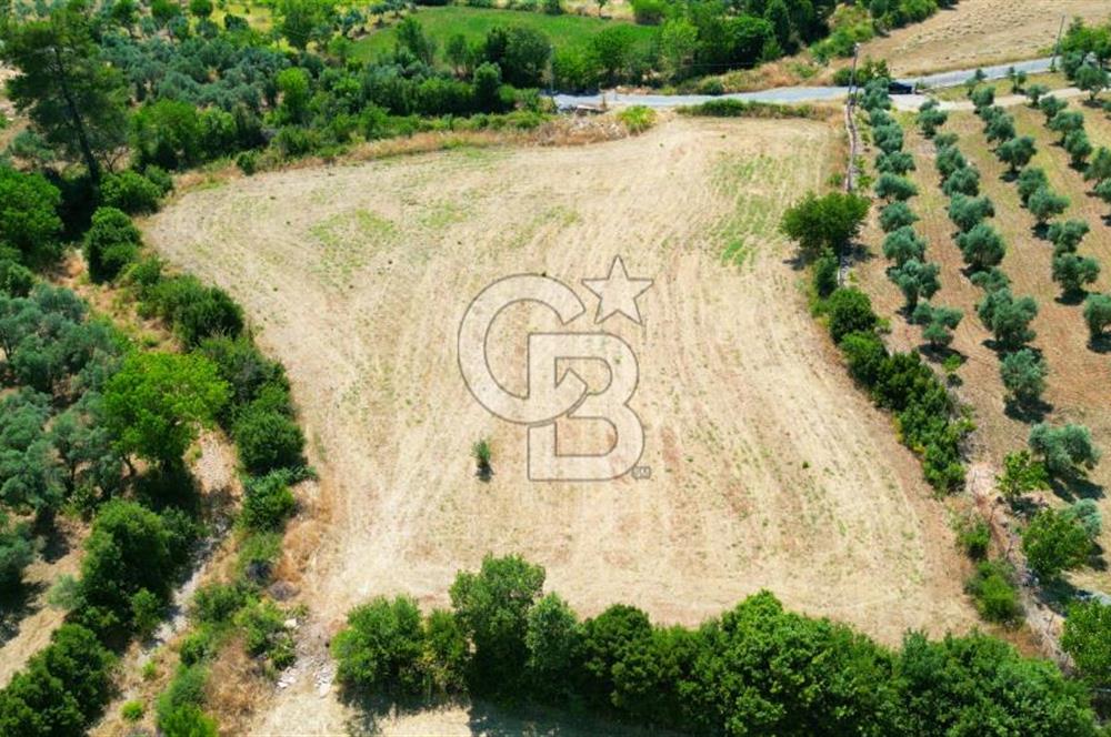 Muğla YERKESIKTE 5517 m2 SATILIK TARLA