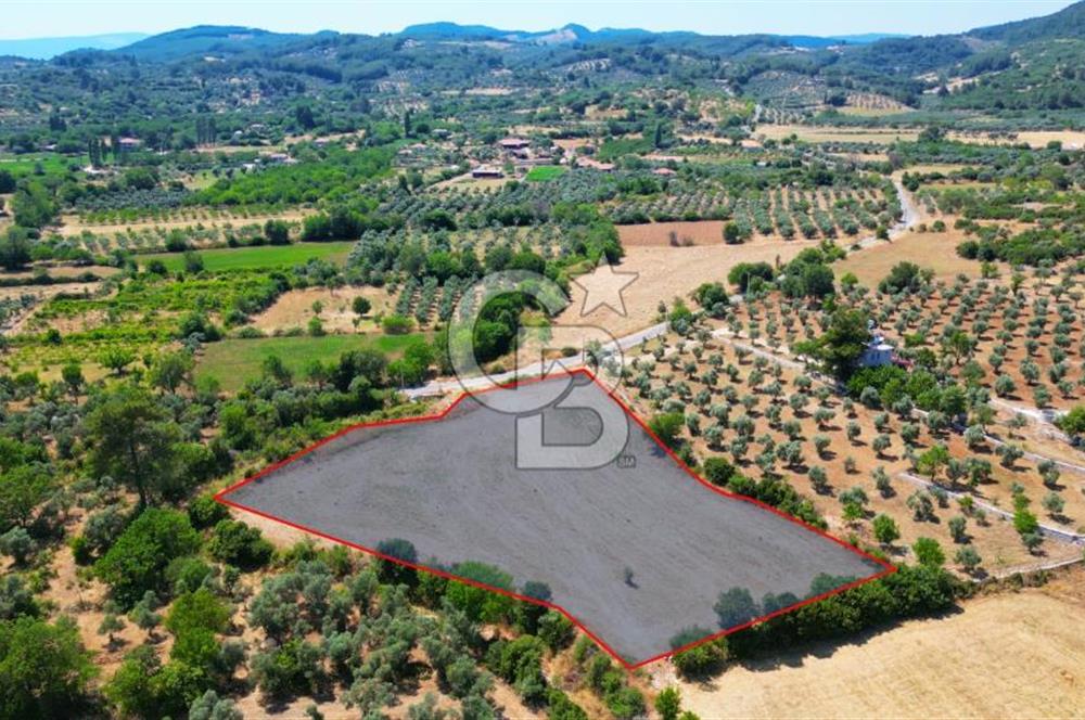 Muğla YERKESIKTE 5517 m2 SATILIK TARLA