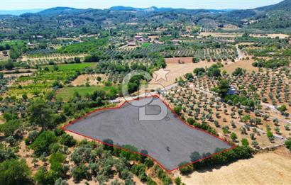 Muğla YERKESIKTE 5517 m2 SATILIK TARLA