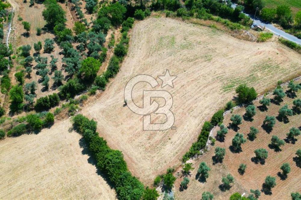 Muğla YERKESIKTE 5517 m2 SATILIK TARLA