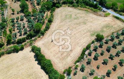 Muğla YERKESIKTE 5517 m2 SATILIK TARLA