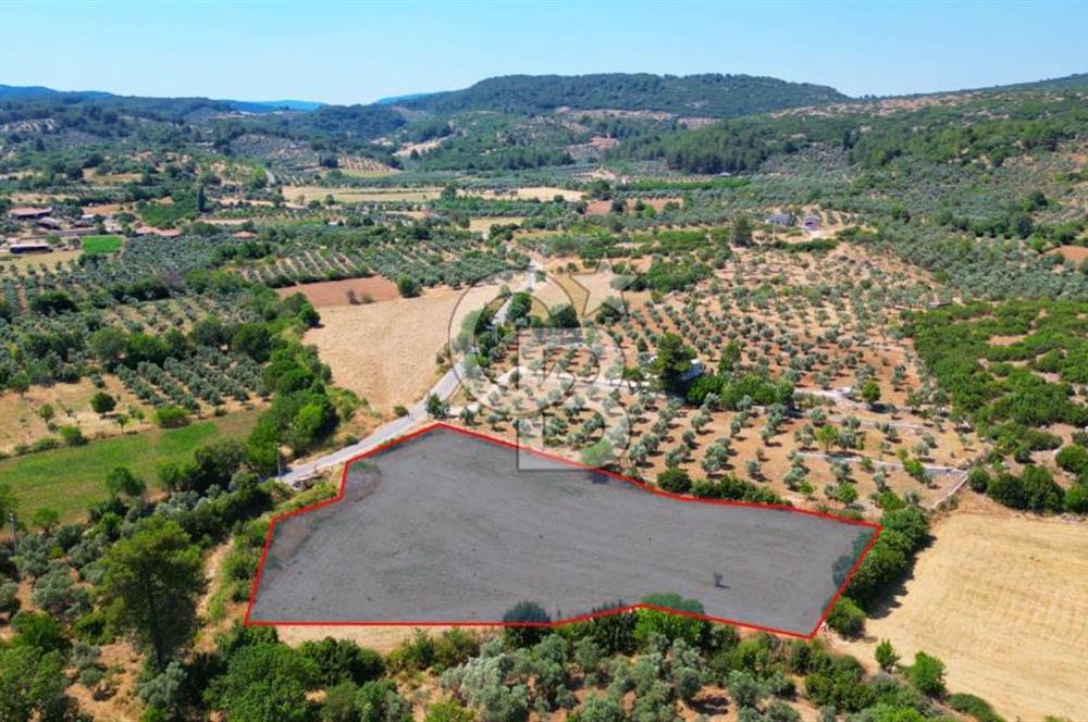 Muğla YERKESIKTE 5517 m2 SATILIK TARLA
