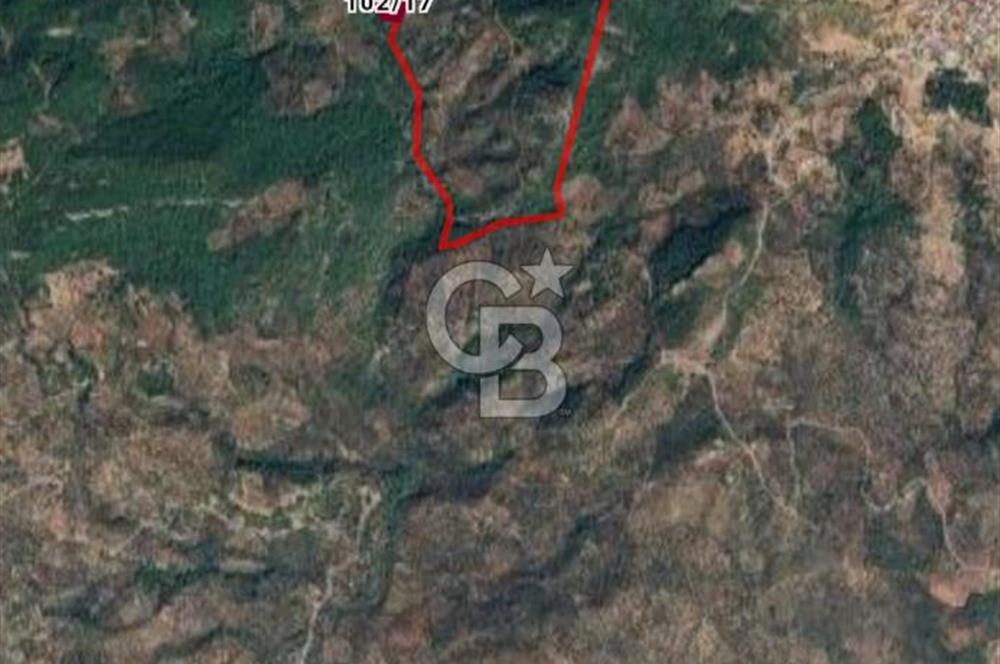 CB İYA'DAN ÇANAKKALE AYVACIK DEMİRCİ KÖYÜNDE SATILIK ARAZİ
