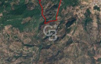 CB İYA'DAN ÇANAKKALE AYVACIK DEMİRCİ KÖYÜNDE SATILIK ARAZİ