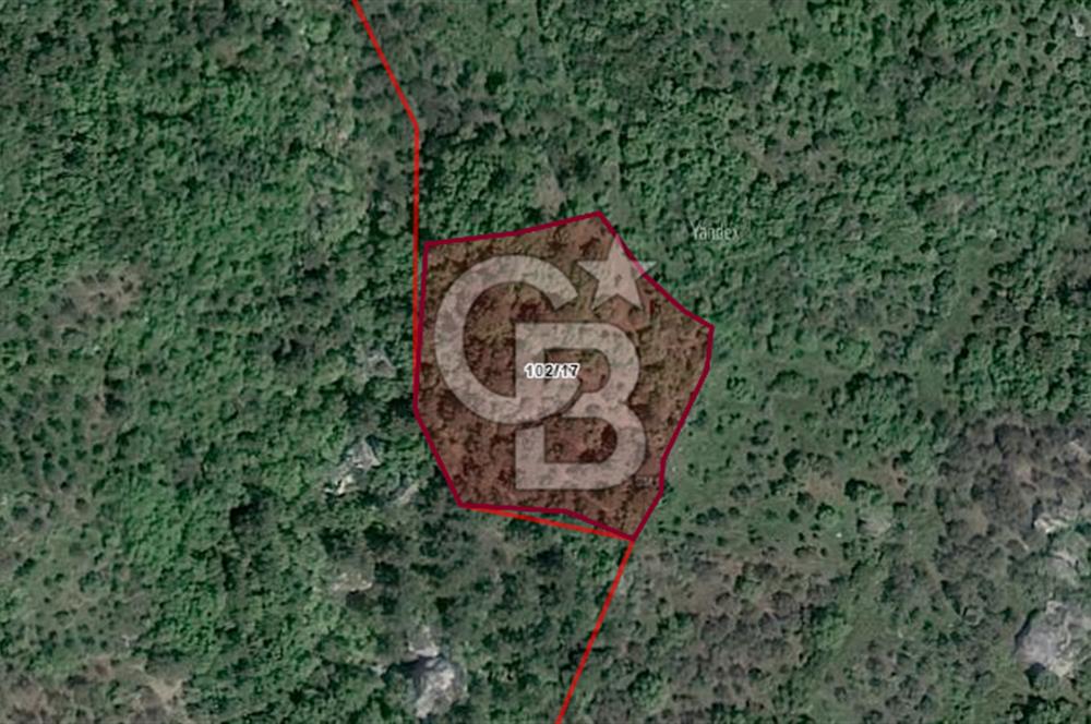 CB İYA'DAN ÇANAKKALE AYVACIK DEMİRCİ KÖYÜNDE SATILIK ARAZİ