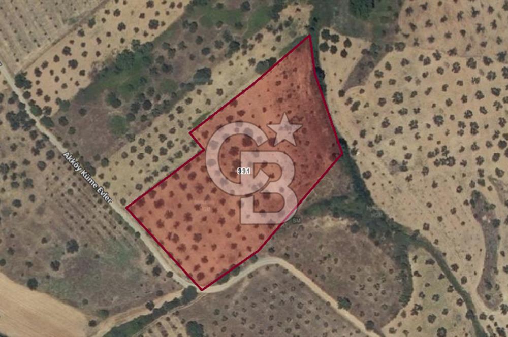 CB İYA'DAN ÇANAKKALE EZİNEDE YATIRIMLIK ZEYTİNLİK