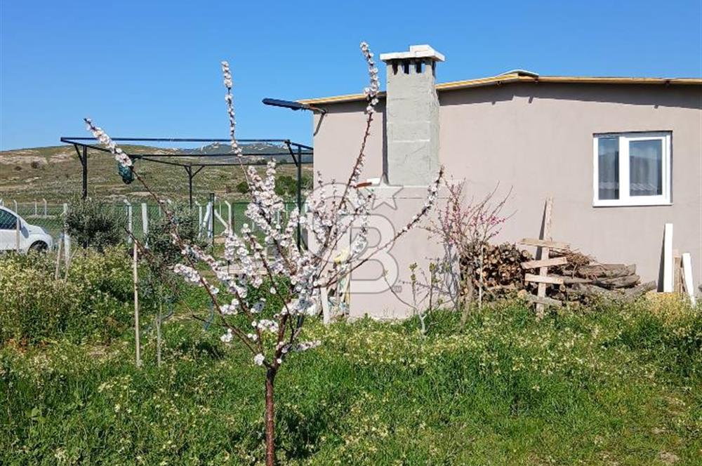 Yenifoça Fevzi Çakmak Mah. Satılık Tarla
