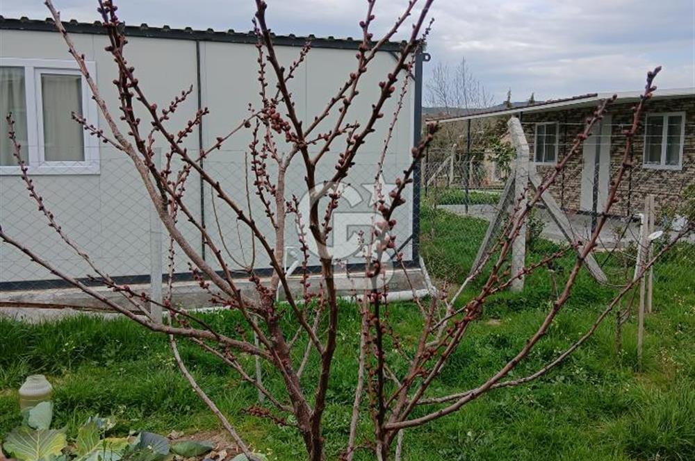 Yenifoça Fevzi Çakmak Mah. Satılık Tarla