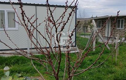 Yenifoça Fevzi Çakmak Mah. Satılık Tarla
