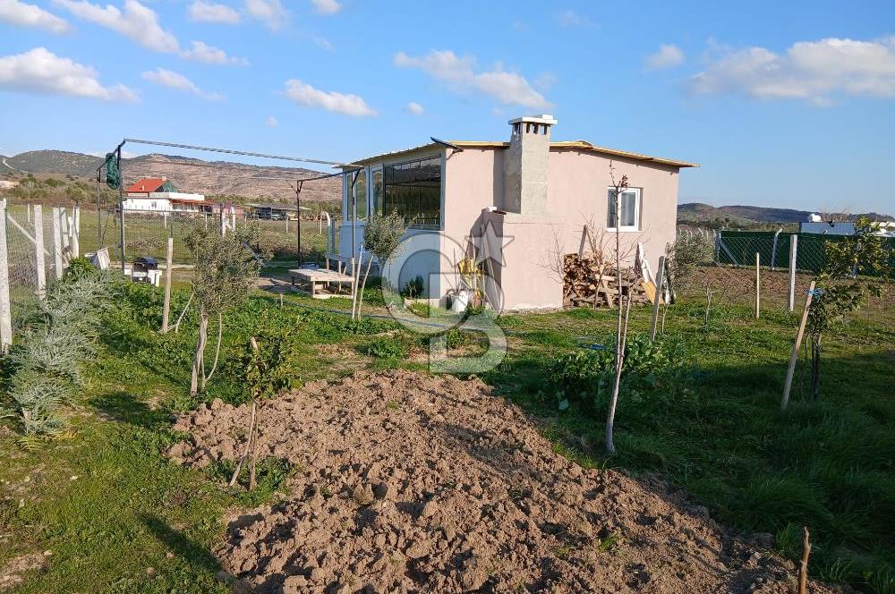 Yenifoça Fevzi Çakmak Mah. Satılık Tarla
