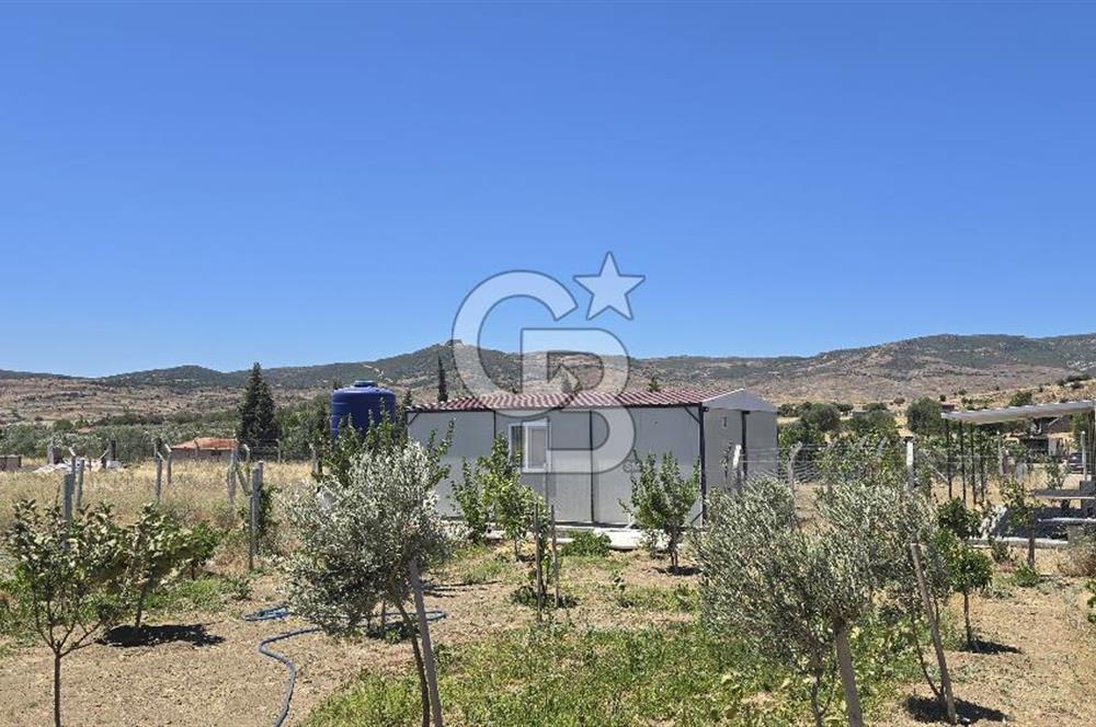 Yenifoça Fevzi Çakmak Mah. Satılık Tarla