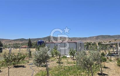 Yenifoça Fevzi Çakmak Mah. Satılık Tarla