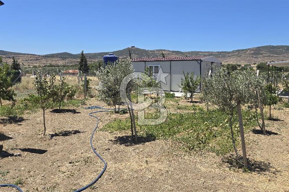 Yenifoça Fevzi Çakmak Mah. Satılık Tarla