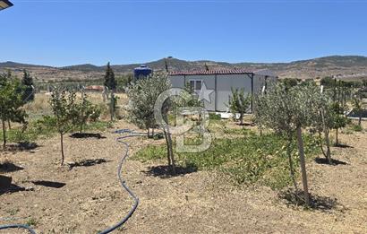 Yenifoça Fevzi Çakmak Mah. Satılık Tarla
