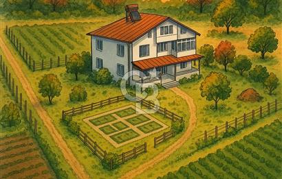 SATILIK ÇİFTLİK VE ÇİFTLİK EVİ - SAMSUN ÇARŞAMBA KIZILOT