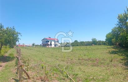 SATILIK ÇİFTLİK VE ÇİFTLİK EVİ - SAMSUN ÇARŞAMBA KIZILOT
