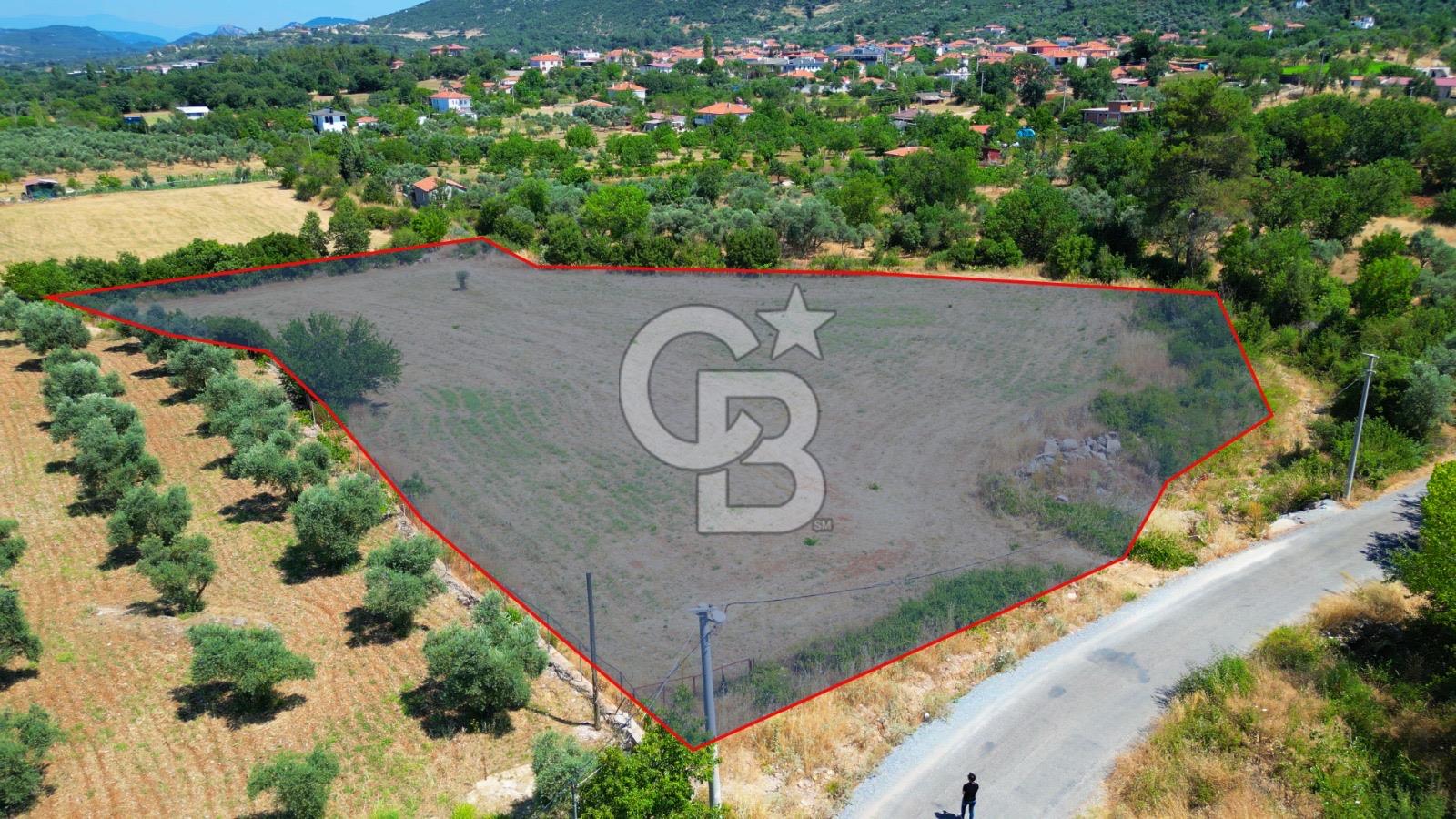 Muğla YERKESIKTE 5517 m2 SATILIK TARLA