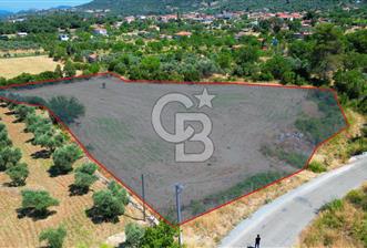 Muğla YERKESIKTE 5517 m2 SATILIK TARLA