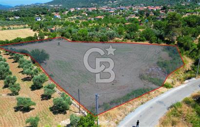 Muğla YERKESIKTE 5517 m2 SATILIK TARLA