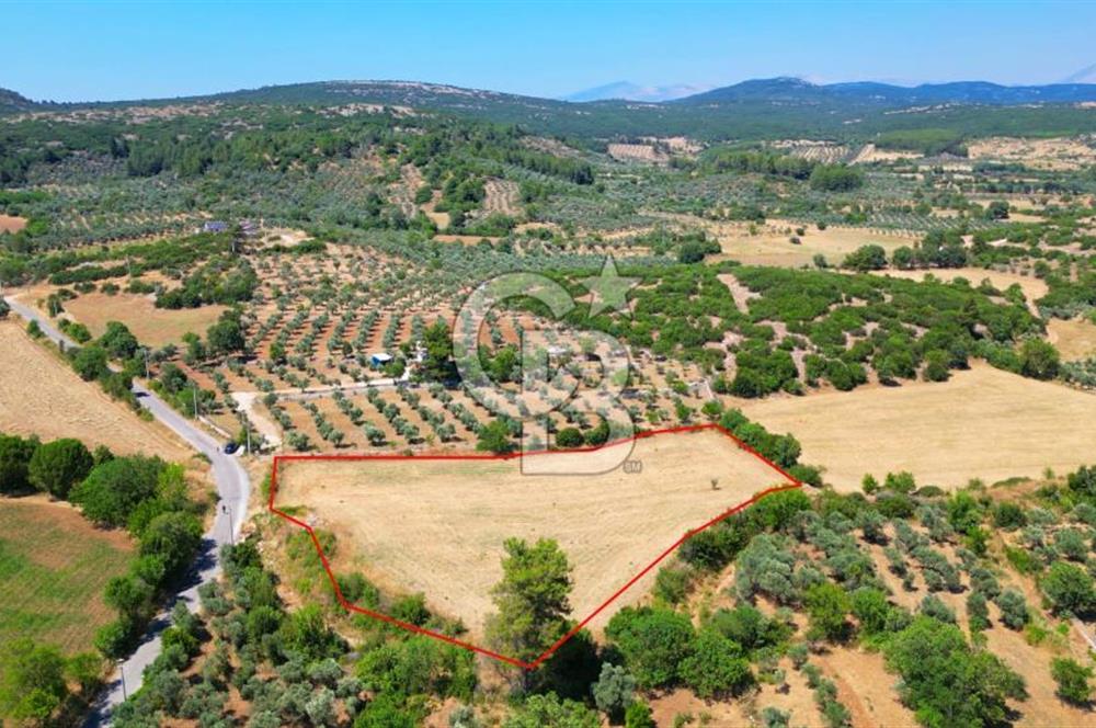 Muğla YERKESIKTE 5517 m2 SATILIK TARLA