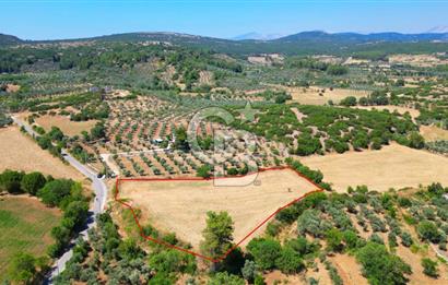 Muğla YERKESIKTE 5517 m2 SATILIK TARLA