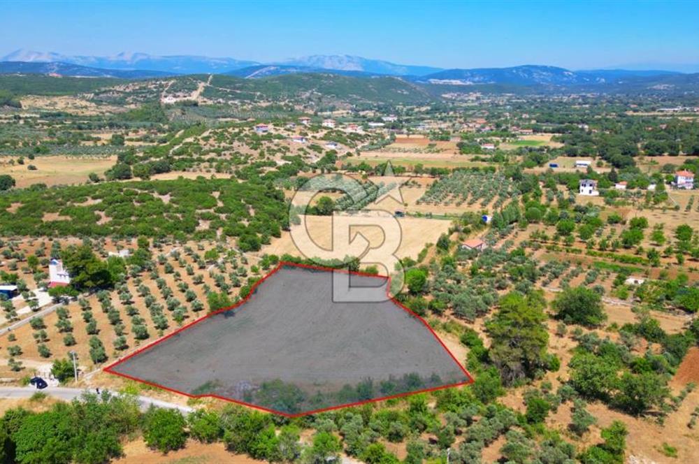 Muğla YERKESIKTE 5517 m2 SATILIK TARLA
