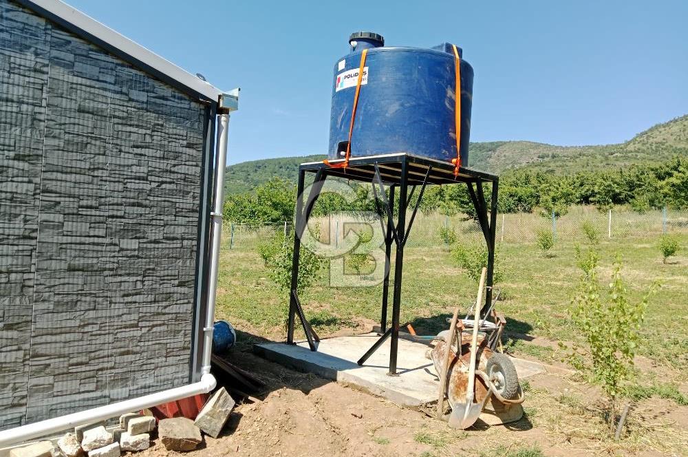KEMALPAŞA KAMBERLER'DE SATILIK KİRAZ BAHÇESİ