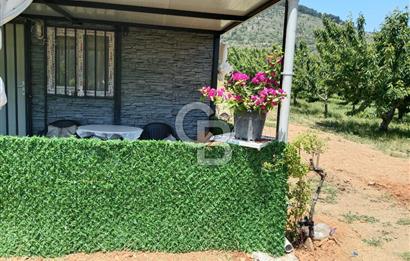 KEMALPAŞA KAMBERLER'DE SATILIK KİRAZ BAHÇESİ