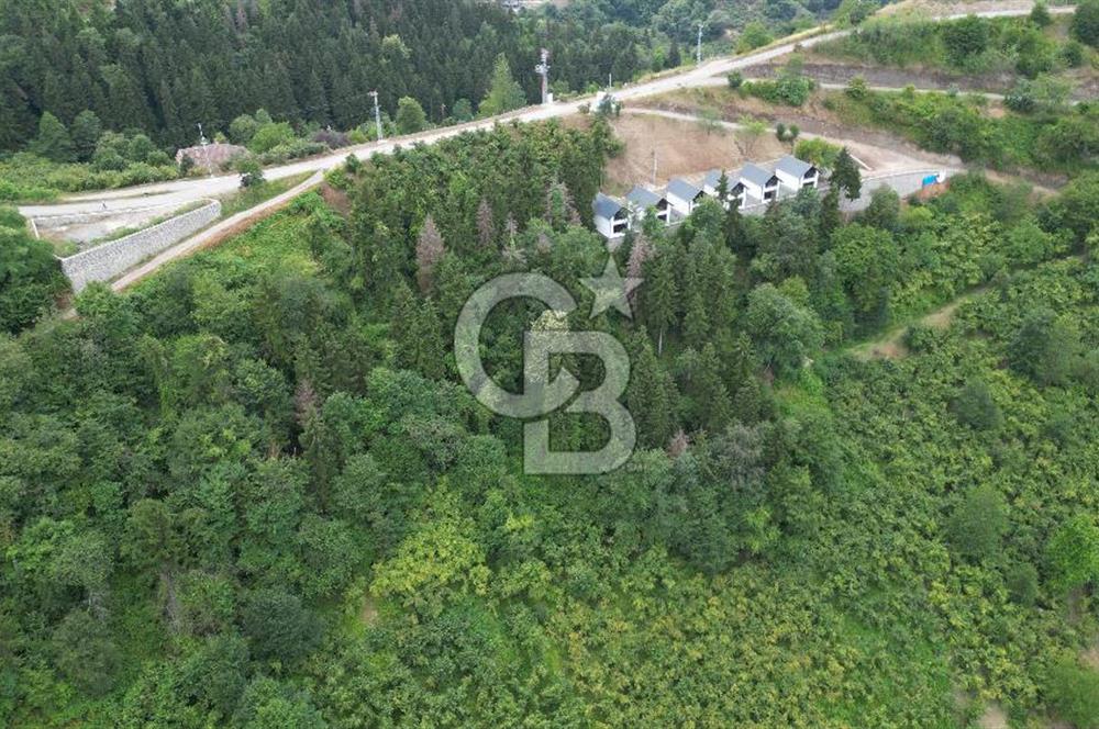 YOMRA GÜRSEL MAHALLESİNDE MERKEZE 3 KM UZAKLIKTA SATILIK ARSA