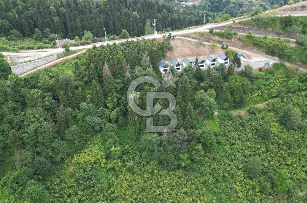 YOMRA GÜRSEL MAHALLESİNDE MERKEZE 3 KM UZAKLIKTA SATILIK ARSA