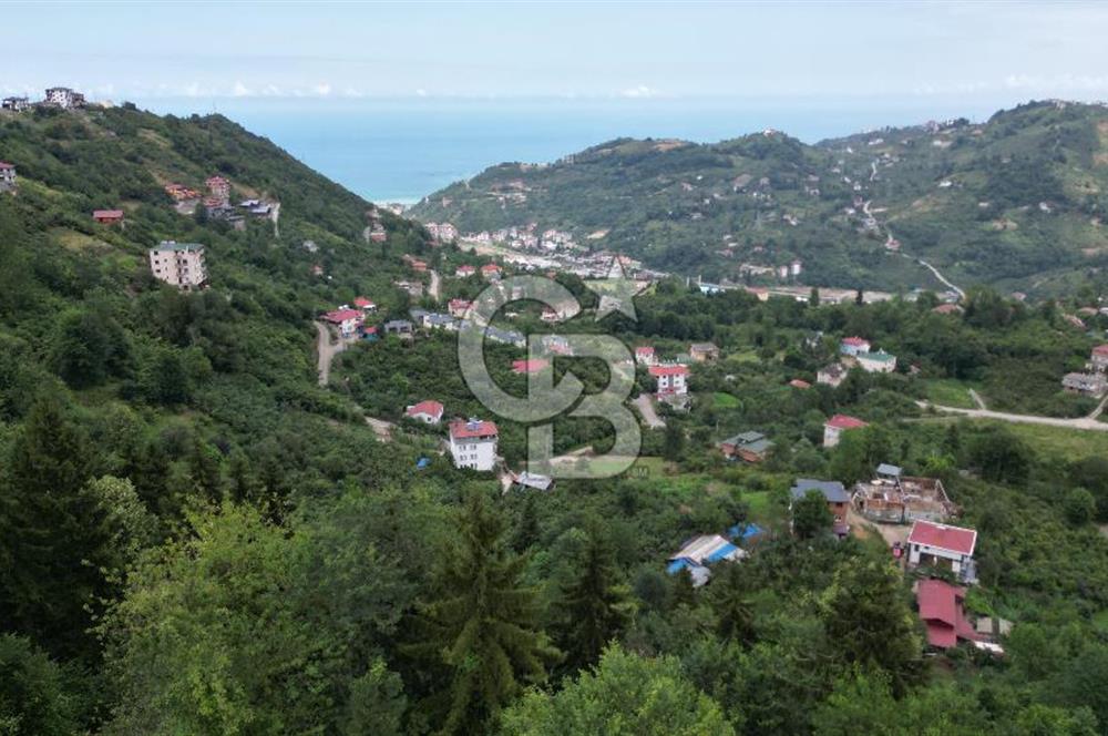 YOMRA GÜRSEL MAHALLESİNDE MERKEZE 3 KM UZAKLIKTA SATILIK ARSA