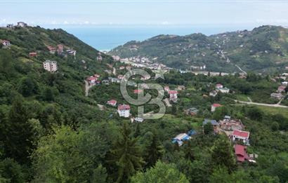 YOMRA GÜRSEL MAHALLESİNDE MERKEZE 3 KM UZAKLIKTA SATILIK ARSA