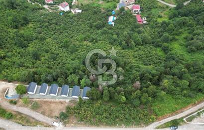 YOMRA GÜRSEL MAHALLESİNDE MERKEZE 3 KM UZAKLIKTA SATILIK ARSA