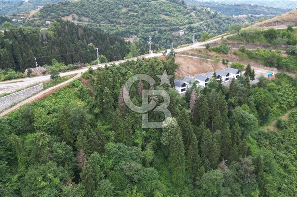 YOMRA GÜRSEL MAHALLESİNDE MERKEZE 3 KM UZAKLIKTA SATILIK ARSA