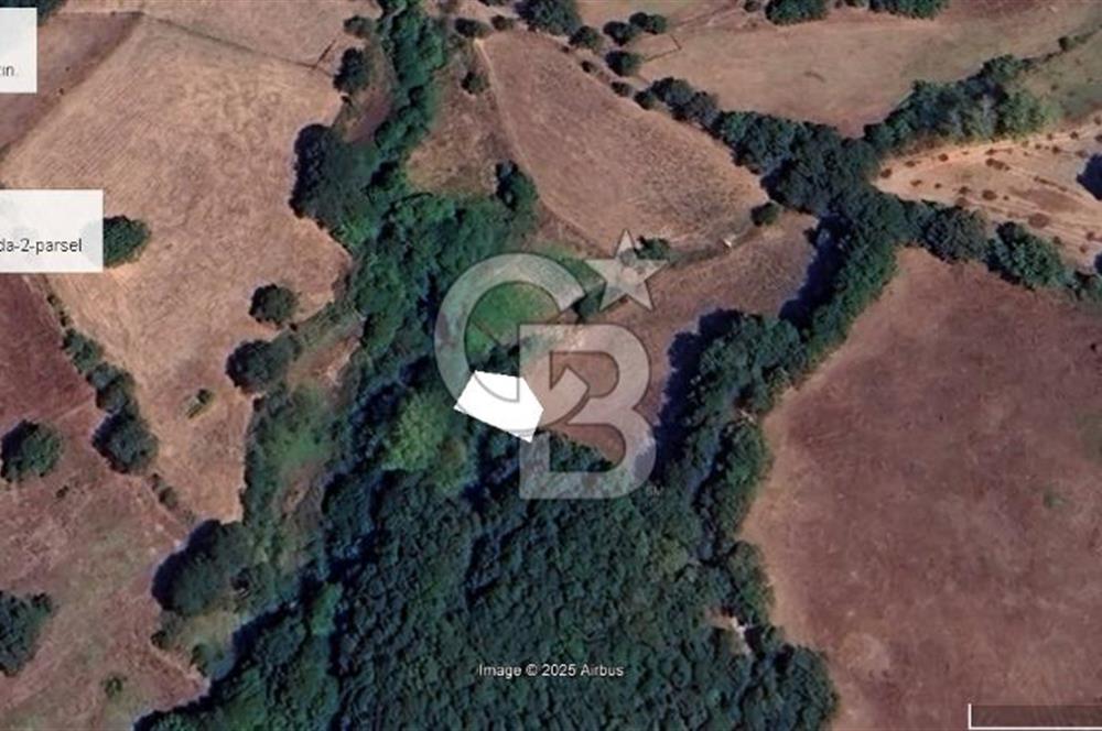 ÇANAKKALE YENİCE TABAN SATILIK BAHÇE