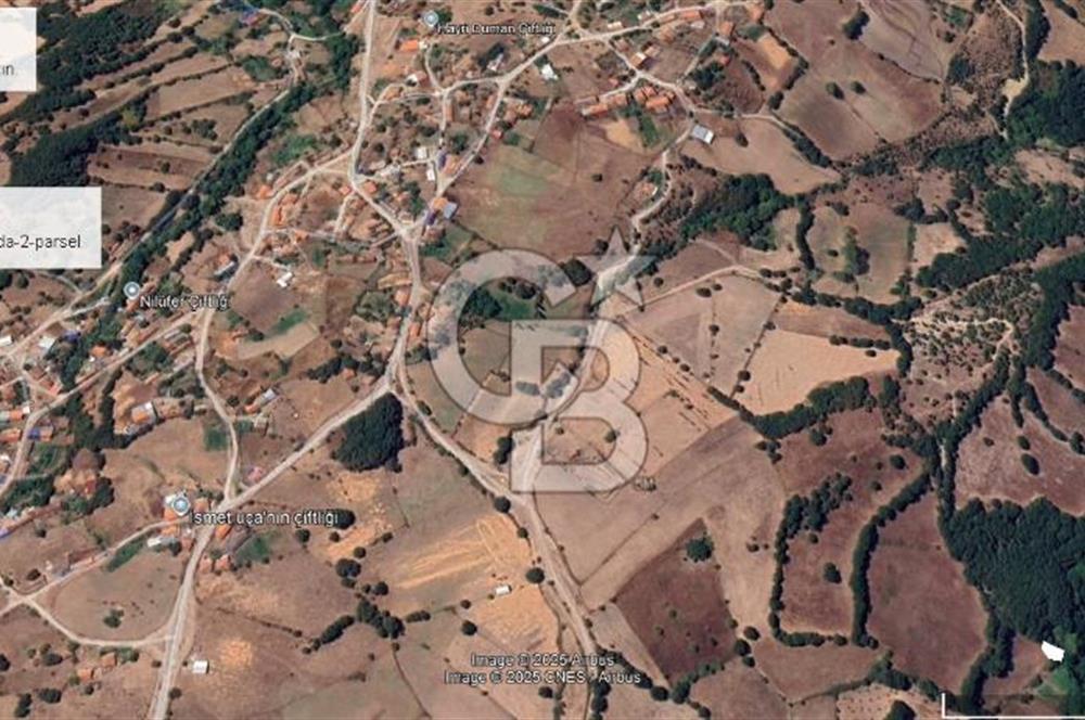 ÇANAKKALE YENİCE TABAN SATILIK BAHÇE