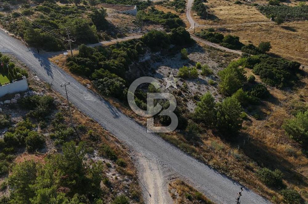 DİDİM AKYENİKÖYDE VİLLA İMARLI SATILIK ARSA