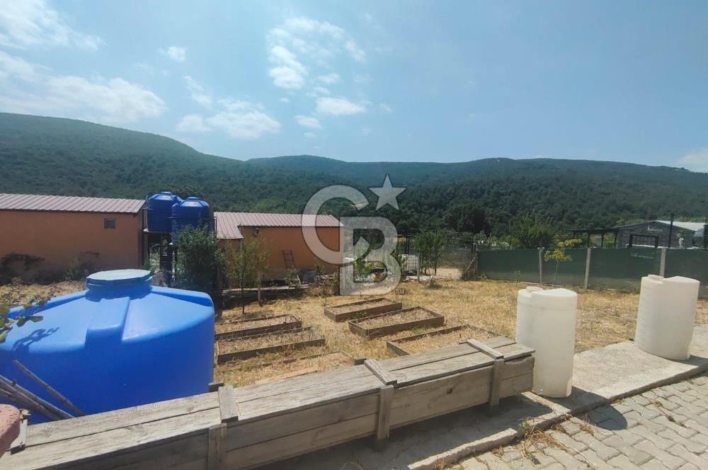NİLÜFER HASANAĞA DA TINY HOUSE OLAN SATILIK HOBİ BAHÇESİ