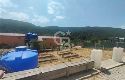 NİLÜFER HASANAĞA DA TINY HOUSE OLAN SATILIK HOBİ BAHÇESİ