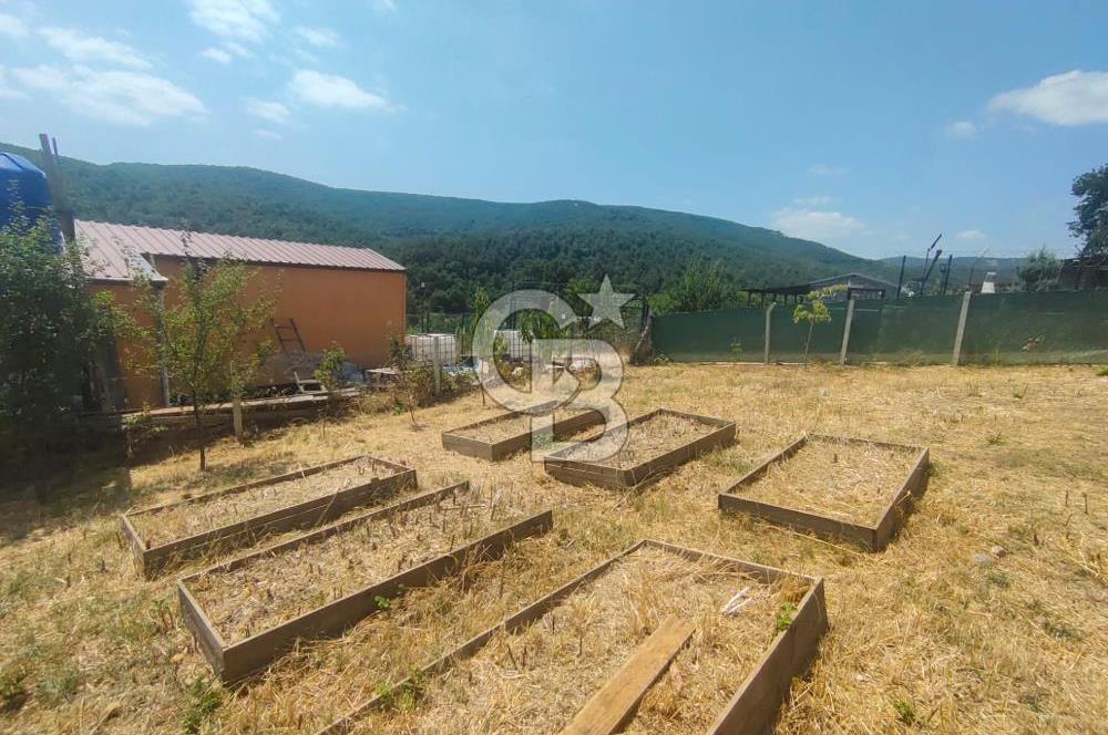 NİLÜFER HASANAĞA DA TINY HOUSE OLAN SATILIK HOBİ BAHÇESİ