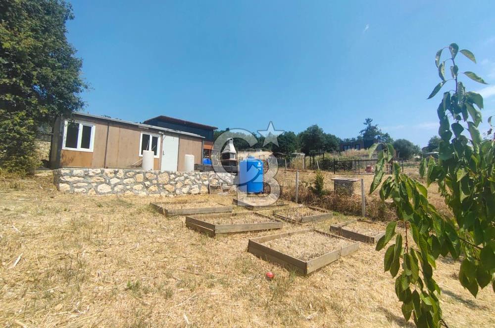 NİLÜFER HASANAĞA DA TINY HOUSE OLAN SATILIK HOBİ BAHÇESİ
