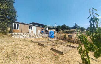 NİLÜFER HASANAĞA DA TINY HOUSE OLAN SATILIK HOBİ BAHÇESİ