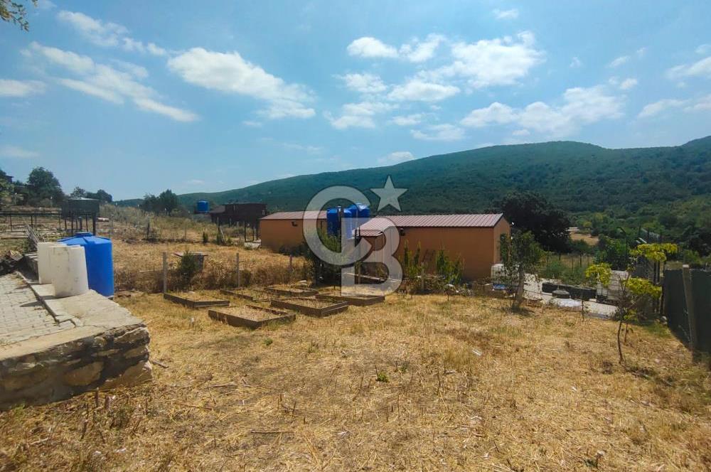 NİLÜFER HASANAĞA DA TINY HOUSE OLAN SATILIK HOBİ BAHÇESİ
