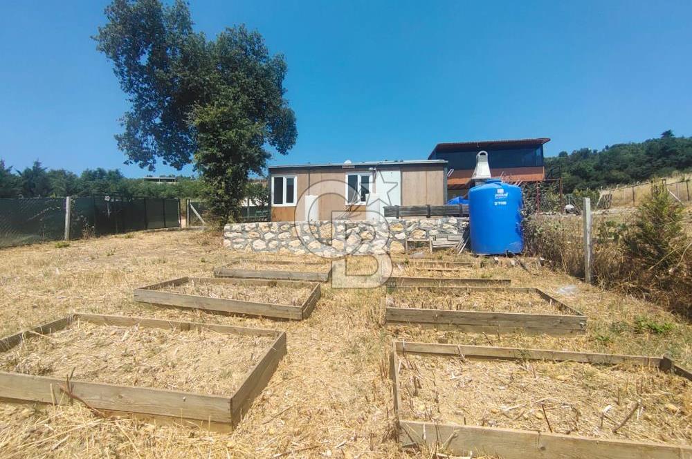 NİLÜFER HASANAĞA DA TINY HOUSE OLAN SATILIK HOBİ BAHÇESİ
