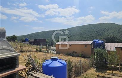 NİLÜFER HASANAĞA DA TINY HOUSE OLAN SATILIK HOBİ BAHÇESİ