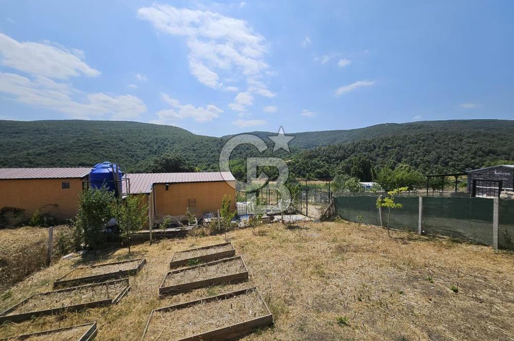 NİLÜFER HASANAĞA DA TINY HOUSE OLAN SATILIK HOBİ BAHÇESİ