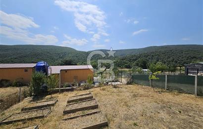 NİLÜFER HASANAĞA DA TINY HOUSE OLAN SATILIK HOBİ BAHÇESİ