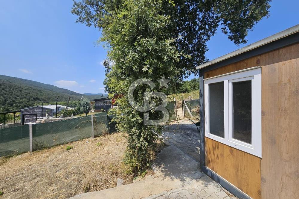 NİLÜFER HASANAĞA DA TINY HOUSE OLAN SATILIK HOBİ BAHÇESİ