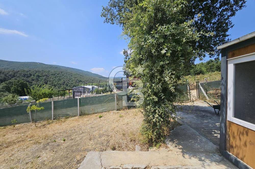 NİLÜFER HASANAĞA DA TINY HOUSE OLAN SATILIK HOBİ BAHÇESİ